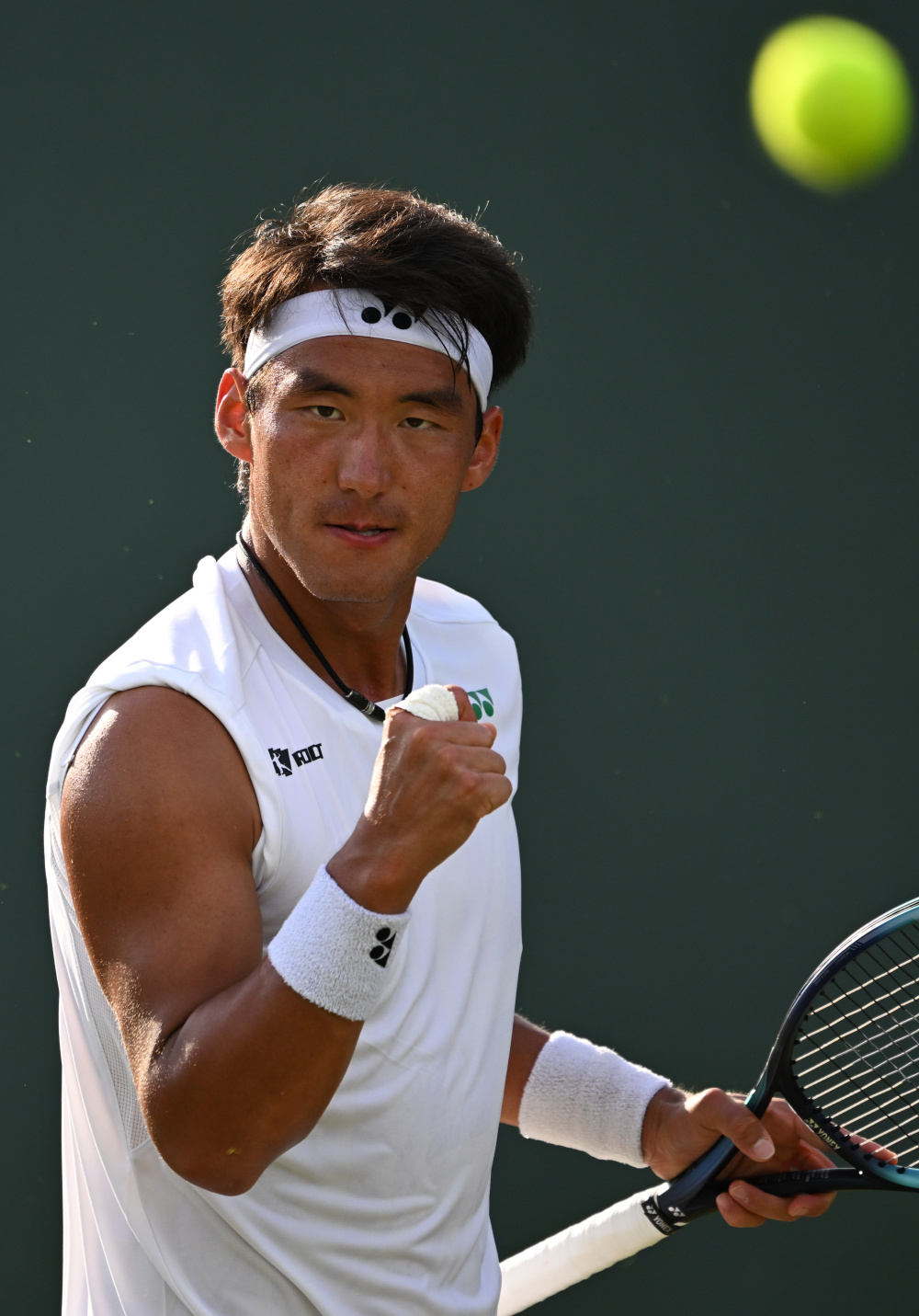 提供了多项 提供了多项