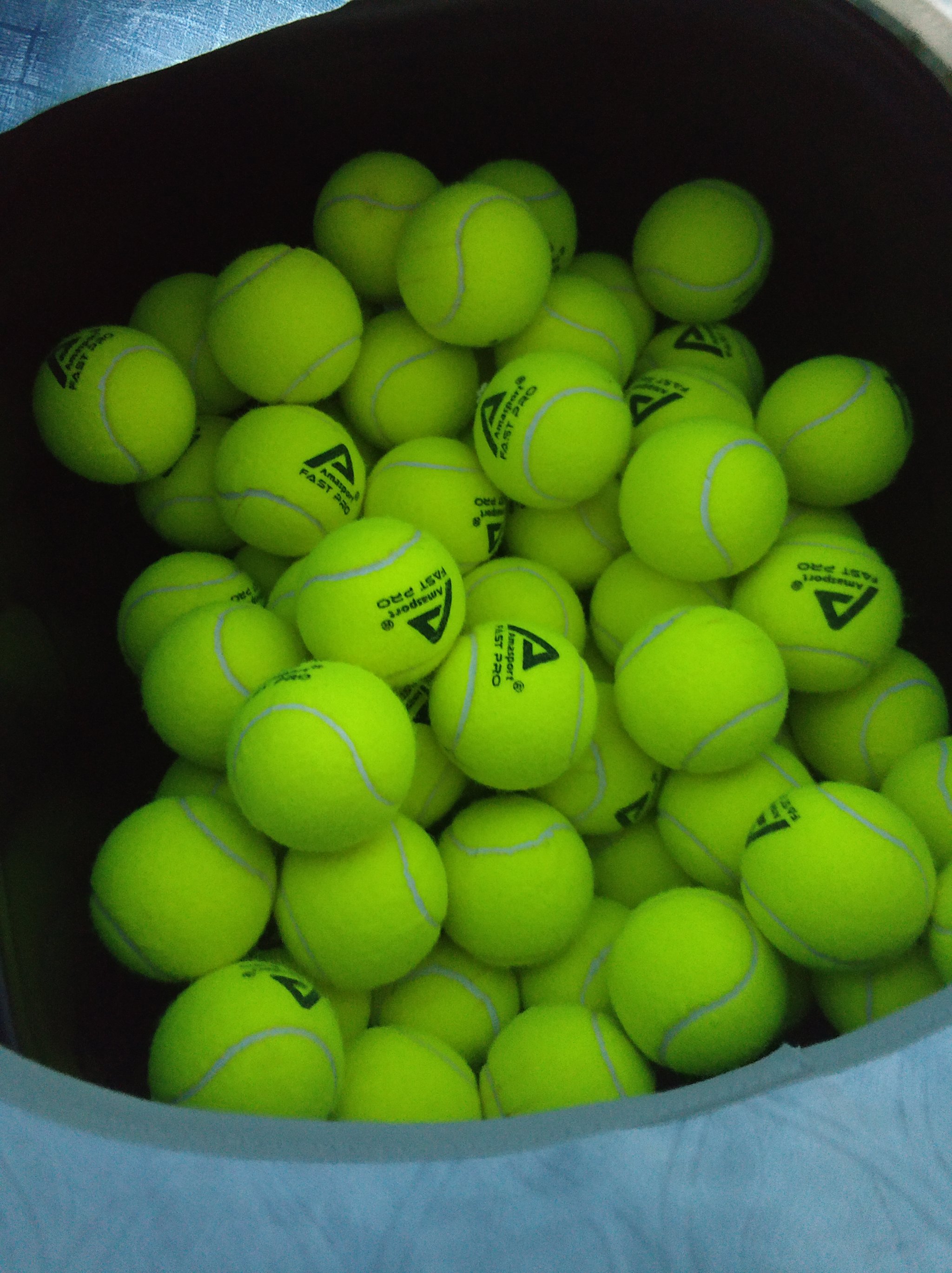 也为广大的 也为广大的